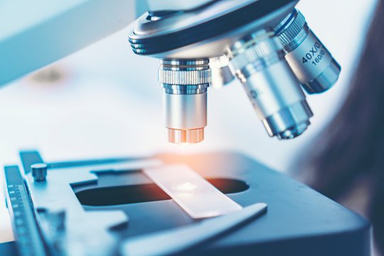 International Journal of Pathology Research