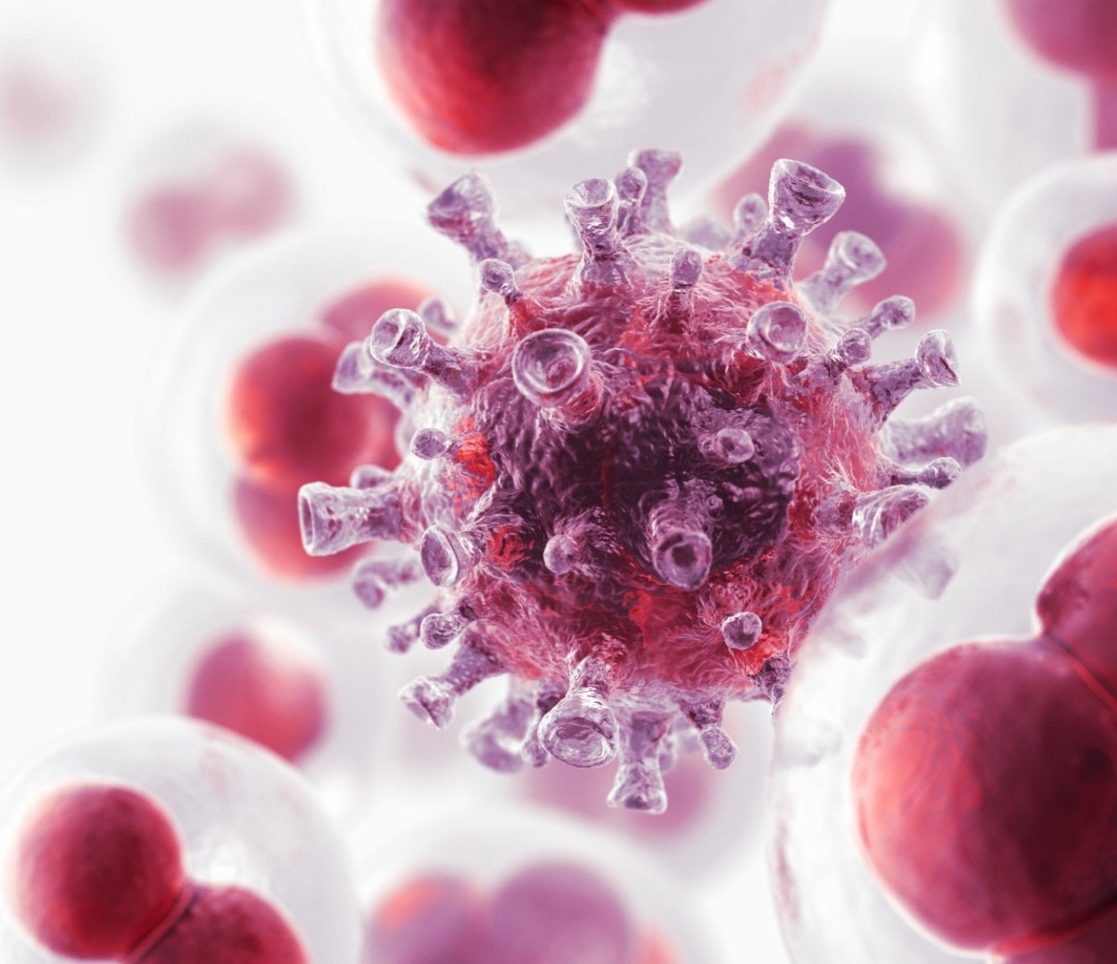 Cancer Research & Therapy