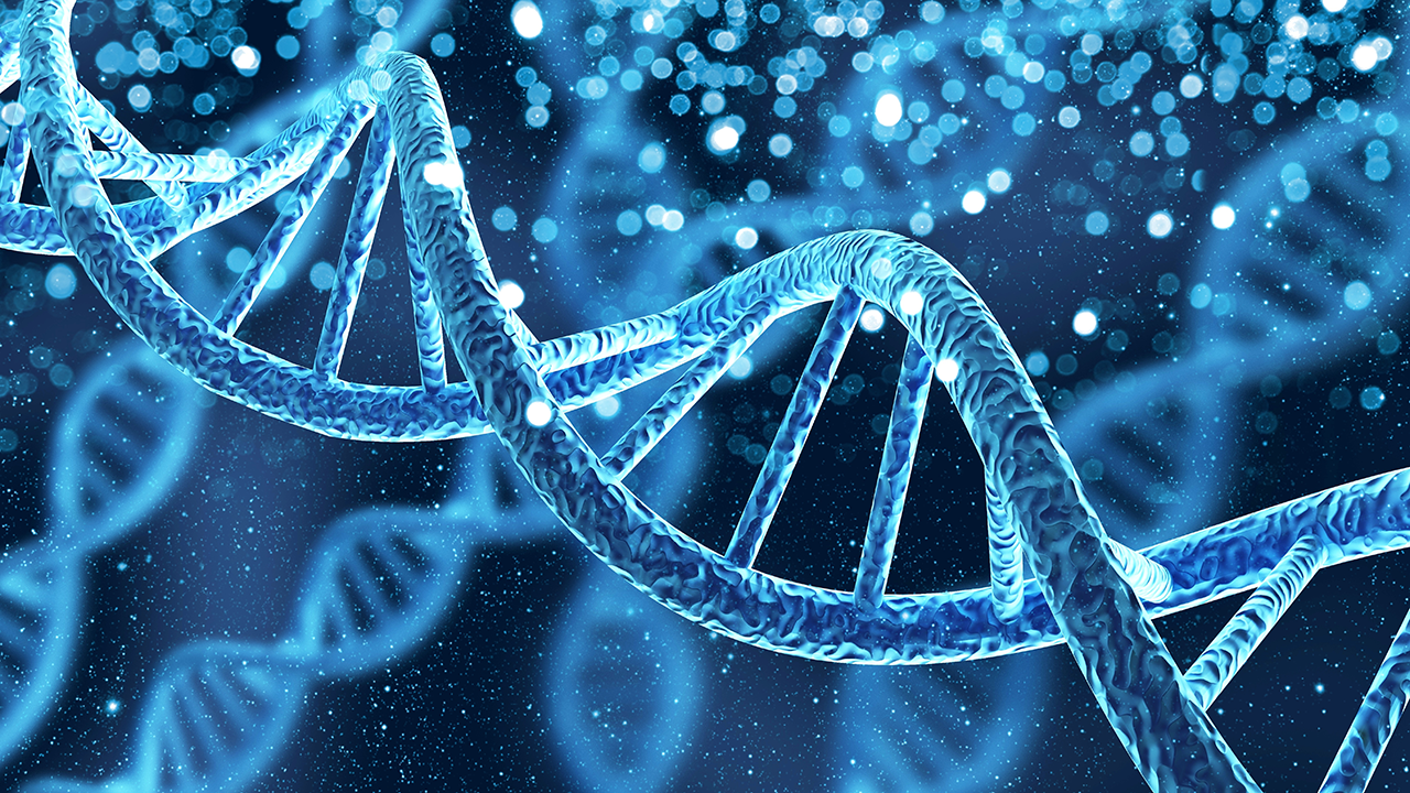 Journal of Translational Medicine Research